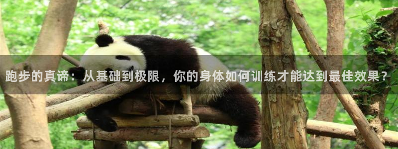 betway西汉姆联