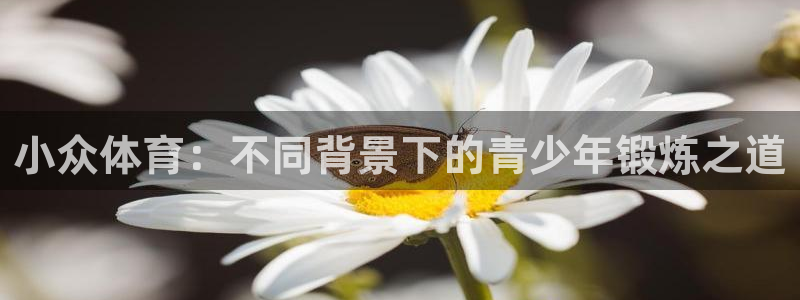 betway西汉姆联