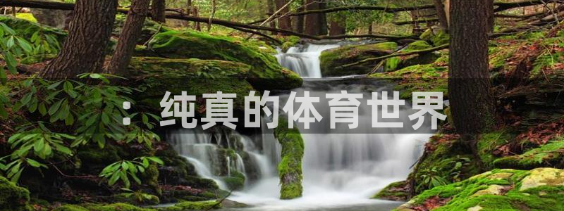 betway西汉姆联
