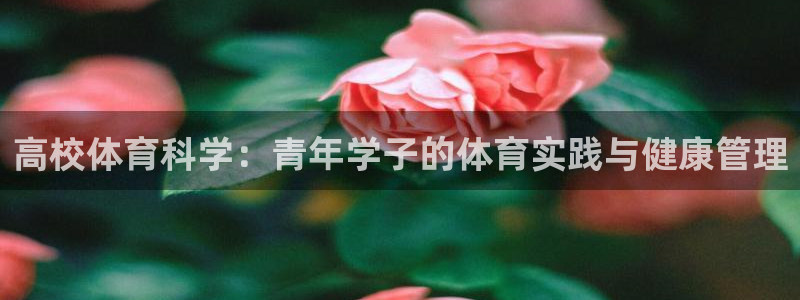 betway西汉姆联官网