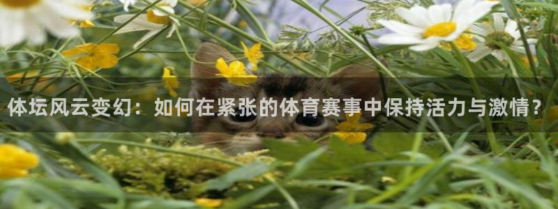 betway西汉姆联