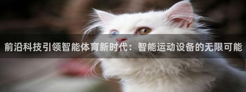 betway西汉姆