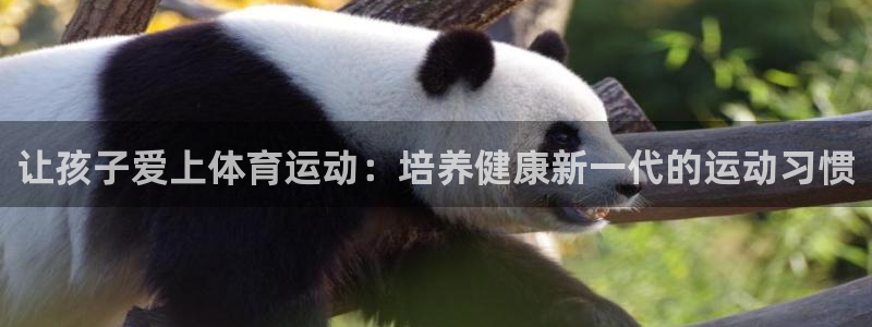 betway西汉姆联
