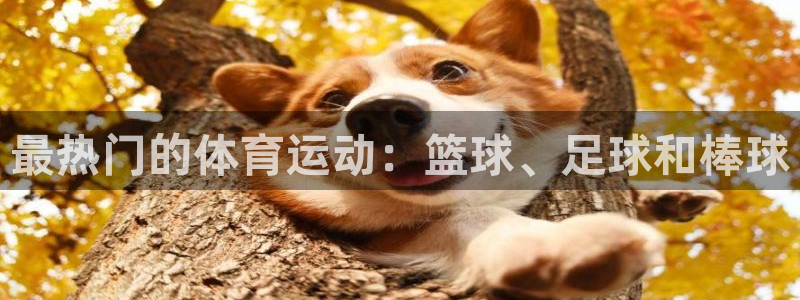 betway西汉姆联官网