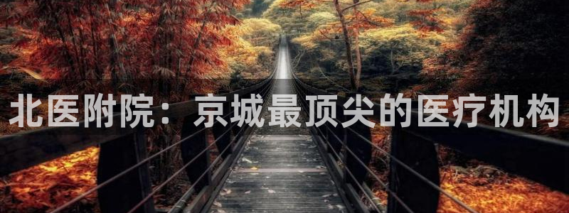 betway西汉姆联